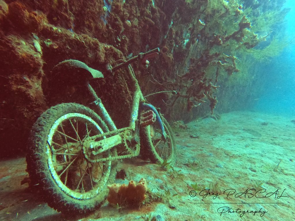 Velo Lad V DCIM100GOPROGOPR0077.JPG